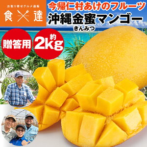 �����}���S�[ 2kg �����p ���ꌧ�Y �L���~�c �}���S�[ ���A�m�� �Y�� �①�� �����s�� �w����s��
