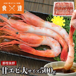 ÃGr TCY 500g ܊CV ÊCV Â Hp hg Y Mtg 񂹃O Hi