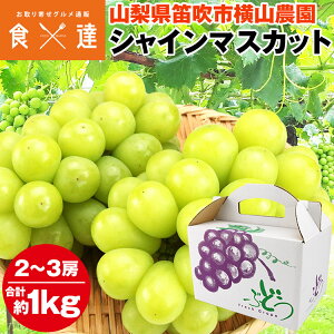 VC}XJbg RY 2`3[ v1kgȏ  [ Ԃǂ uhE  ϔ Y Yn ① s ws