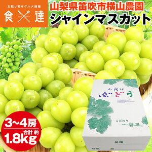 VC}XJbg RY 3`4[ v1.8kgȏ  [ Ԃǂ uhE  ϔ Y Yn ① s ws