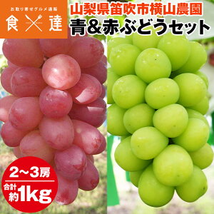 VC}XJbg ԂԂǂ Zbg 2`3[ v1kgȏ RY uhE  Y ① s ws