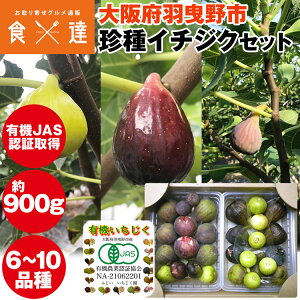  900g L@JASF؎擾 C`WN 6`10 {Y C`WN ԉ Hgs ① s ws