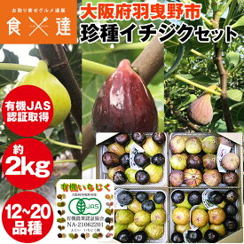 いちじく 2kg 有機JAS認証取得 珍種イチジク 12〜20種入り 大阪府産 イチジク 無花果 羽曳野市 冷蔵便 同梱不可 指定日不可