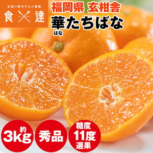 ݂ 3kg x11xI Gi Y ؂΂  ~J Y 퉷 s ws