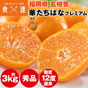 ݂ 3kg x12xȏ v~A Gi Y ؂΂  ~J Y 퉷 s ws