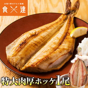 EIE ق1 400gȏ zbP Ⓚ BBQ o[xL[ Mtg