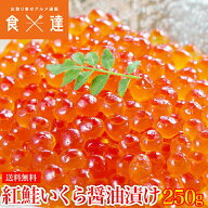 いくら イクラ 紅鮭 醤油漬け 250g さけ グルメ 食品 海鮮 ギフト