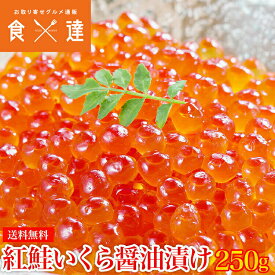 紅鮭いくら 醤油漬け250g イクラ いくら さけ 鮭 サケ 小分け 海鮮 丼 軍艦 手巻き 寿司 ちらし 送料無料 冷凍便 お取り寄せグルメ 食品 ギフト 海鮮