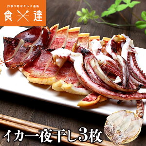 ӂ炩  銱 3 CJ G p   Mtg 񂹃O Hi