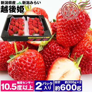 ������ �z��P ��600g ���x�Z���T�[10.5�x�ȏ� ��300g×2�p�b�N �V�����Y �Y�n���� �C�`�S � �u�����h �t���[�c �ʕ� �Y�� �①�� �����s�� �w����s��