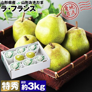 tX R`Y G 3kg m 7`11ʒx Mtg EtX  JAR` Yn Y 퉷 s ws