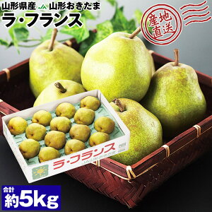 tX R`Y 5kg m 8`20 Mtg EtX  JAR` Yn Y 퉷 s ws