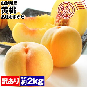  󂠂 2kg R`Y i킨܂ ƒp   퉷 s ws Y