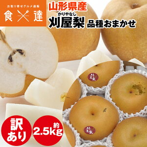  2.5kg 󂠂 R`Y  a ƒp p 퉷 s ws Y