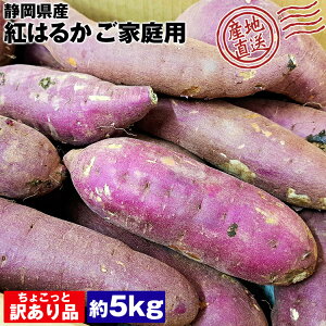 紅はるか 訳あり さつまいも 5kg 静岡県産 B品 ご家庭用 サツマイモ 芋 産地直送 産直 常温便 同梱不可 指定日不可