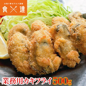 y JL  Ɩp JLtC 500g 20 ߕt Ⓚ Mtg
