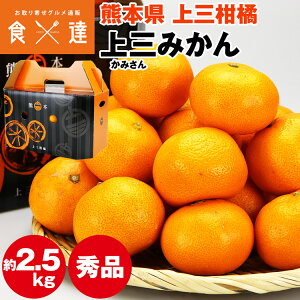 みかん 2.5kg 熊本県産 秀 上三みかん 完熟 熊本みかん S/M/Lサイズおまかせ 蜜柑 ミカン 産地直送 産直 常温便 同梱不可 指定日不可
