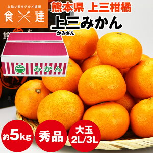 ݂ 5kg F{Y  G O݂ n F{݂ 2L/3LTCY  ~J Yn Y 퉷 s ws