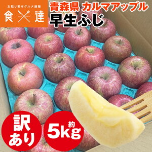 ӂ 5kg ƒp XY 󂠂 ӂ  S ь 퉷 s ws