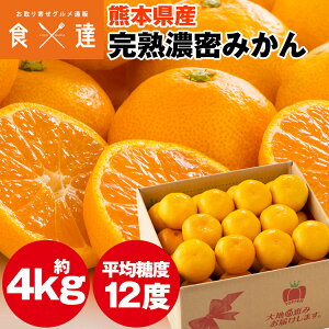 ݂ 4kg F{Y nZ݂ B݂ ~J  퉷 s ws