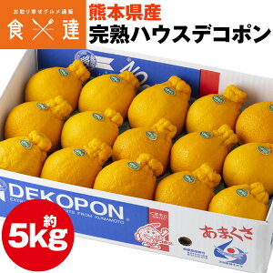 fR| 5kg F{Y nEXfR| nEX͔| k ݂ Y 퉷 s ws