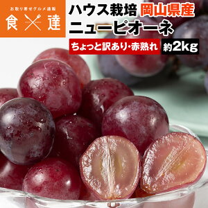sI[l j[sI[l 󂠂  2kg 4`5[ ԏn Di Ȃ Ԃǂ RY uhE  ① s ws