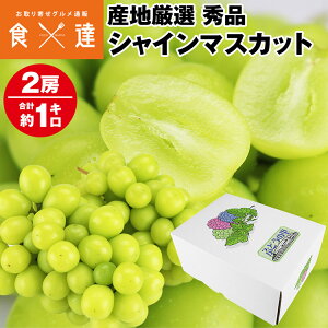 VC}XJbg 2[ 1kg Gi Ԃǂ YnI p Mtg uhE Ԃǂ  햳 ① s ws