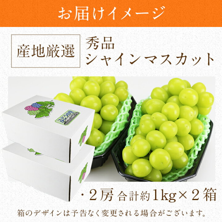 楽天市場】シャインマスカット 2箱 4房 2kg (1箱あたり 2房 1kg 秀品  