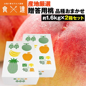  Mtg 3.2kg (1.6kg×2Zbg) Gȏ i팵I YnI  yY p   t[c ① s ws