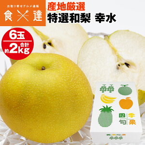  K 6 2kg 3LTCY Gȏ p Mtg a O iV  ① s ws