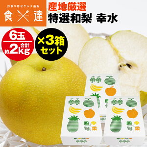  K 3Zbg 18 6kg (16ʖ2kg) 3LTCY Gȏ p Mtg O iV  ① s ws