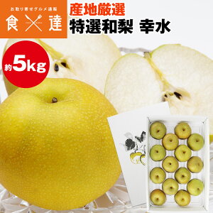  K 5kg 10`16 2L`5LTCY Gȏ YnI p Mtg a O iV  ① s ws