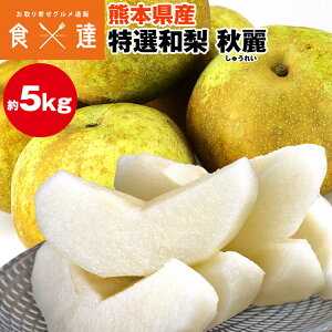  H헜 5kg  A ̗ 10`20 ȏ M`5LTCY F{Y a イꂢ iV ① s ws