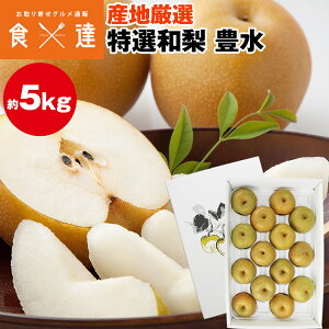  L Mtg 5kg 10`16 2L`5LTCY Gȏ  YnI a ԗ ق O iV t[c ① s ws