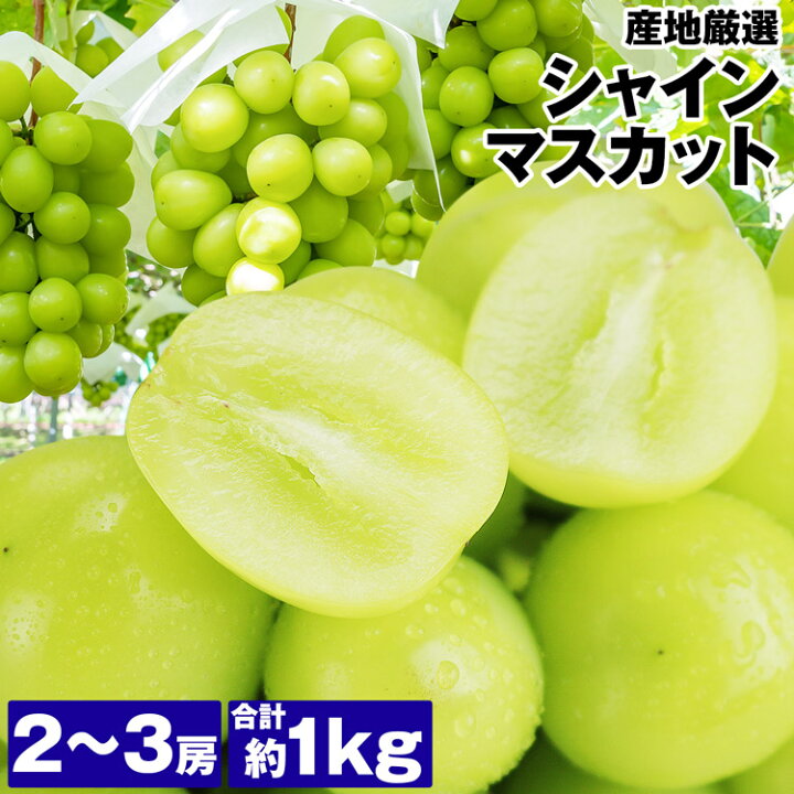 楽天市場】ぶどう シャインマスカット 訳あり 約1kg 2～3房 ご家庭用 