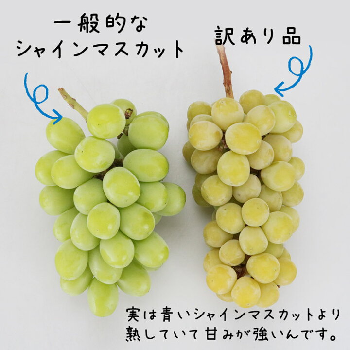 楽天市場】訳あり シャインマスカット 約5kg 7～12房 ご家庭用 お徳用 