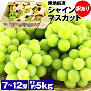 󂠂 VC}XJbg 5kg 7`12[ ƒp p  Ԃǂ YnI uhE 햳 ① s ws