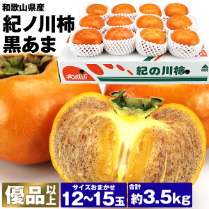 `  Im`  12`15 v3.5kg a̎RY Diȏ I̐` ŏ㋉ 퉷 s ws {