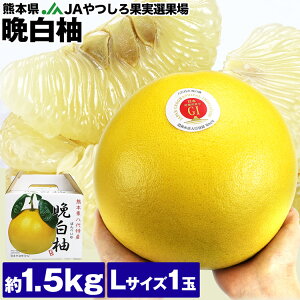 ӔM ΂؂ 1.5kg 1 F{Y LTCY JAʎIʏ ݂ k U{ t[c ʕ { 퉷 s ws