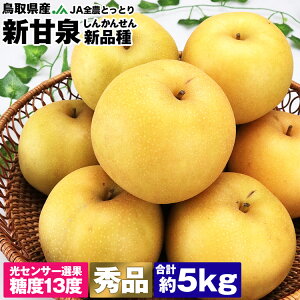 VÐ 5kg 挧Y Gi  x13xݒ a 񂩂񂹂 ① s ws