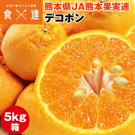 デコポン 熊本県産 18〜24玉 5kg箱満杯詰め 糖度13度選果設定 不知火 柑橘 みかん 同梱不可 指定日不可