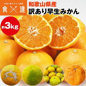 ݂ 󂠂 3.1kg (3kg+ۏؕ150gx) a̎RY ݂ B݂ ~J  k 킯 퉷 s ws