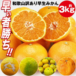 ݂ 󂠂 3.1kg (3kg+ۏؕ150gx) a̎RY ݂ B݂ ~J  k 킯 퉷 s ws