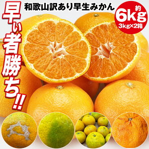 ݂ 󂠂 6.3kg (6kg+ۏؕ300gx) 3kgx2Zbg a̎RY ݂ B݂ ~J  k 킯 퉷 s ws