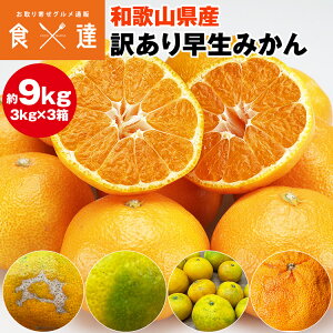 ݂ 󂠂 9.4kg (9kg+ۏؕ450gx) 3kgx3Zbg a̎RY ݂ B݂ ~J  k 킯 퉷 s ws