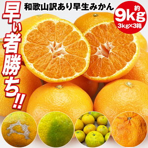 ݂ 󂠂 9.4kg (9kg+ۏؕ450gx) 3kgx3Zbg a̎RY ݂ B݂ ~J  k 킯 퉷 s ws