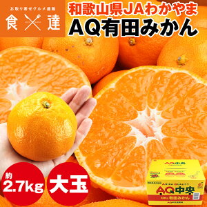 Lc݂ 2.7kg  2LTCY a̎RY ݂ ~J  퉷 s ws