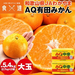 Lc݂ 5.4kg (2.7kg×2)  2LTCY a̎RY ݂ ~J  퉷 s ws