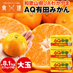 Lc݂ 8.1kg (2.7kg×3)  2LTCY a̎RY ݂ ~J  퉷 s ws