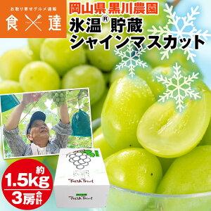 VC}XJbg 3[ 1.5kgȏ RY X   Yn Ԃǂ uhE  _ ① s ws Y